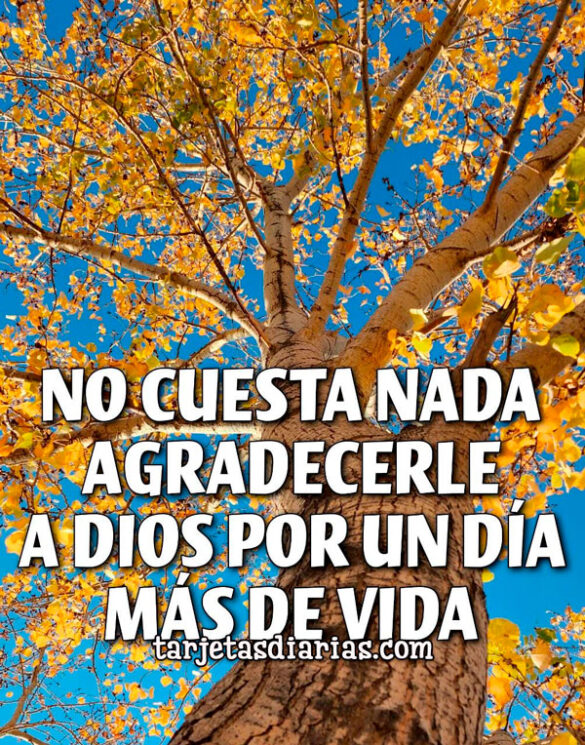 NO CUESTA NADA AGRADECERLE A DIOS POR UN DÍA MÁS DE VIDA