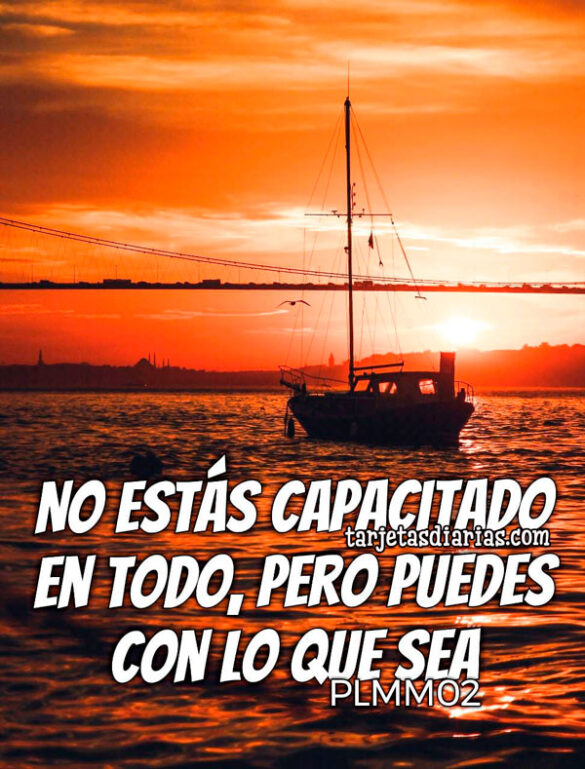 NO ESTÁS CAPACITADO EN TODO, PERO PUEDES CON LO QUE SEA