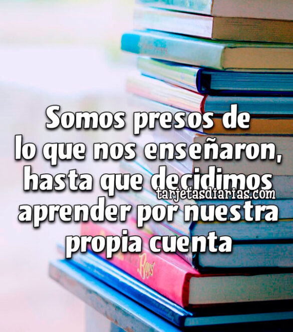 SOMOS PRESOS DE LO QUE NOS ENSEÑARON, HASTA QUE DECIDIMOS APRENDER POR NUESTRA PROPIA CUENTA