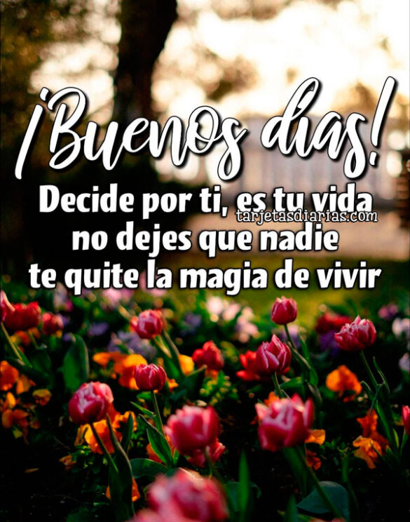 ¡BUENOS DÍAS! DECIDE POR TI, ES TU VIDA NO DEJES QUE NADIE TE QUITE LA MAGIA DE VIVIR