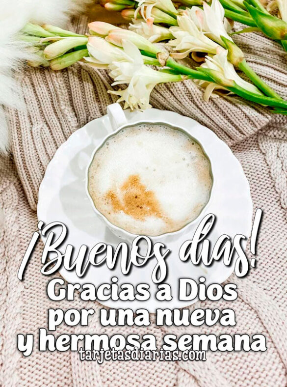 ¡BUENOS DÍAS! GRACIAS DIOS POR UNA NUEVA Y HERMOSA SEMANA