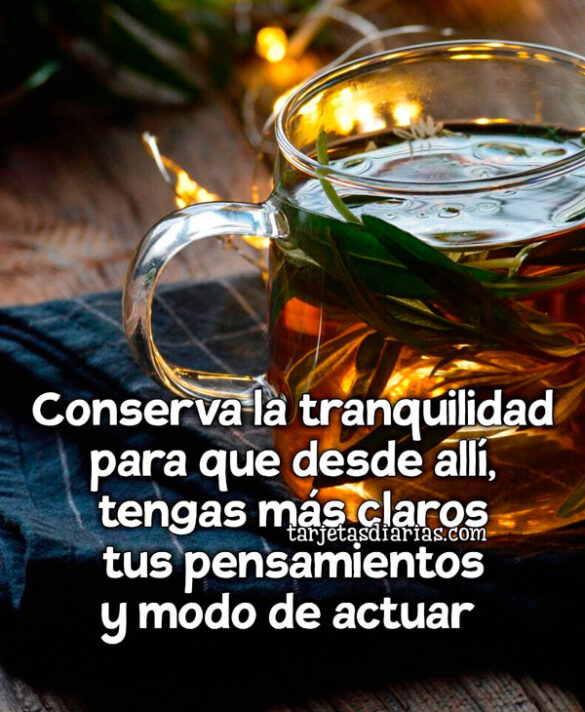 CONSERVA LA TRANQUILIDAD PARA QUE DESDE ALLÍ, TENGAS MÁS CLAROS TUS PENSAMIENTOS Y MODO DE ACTUAR