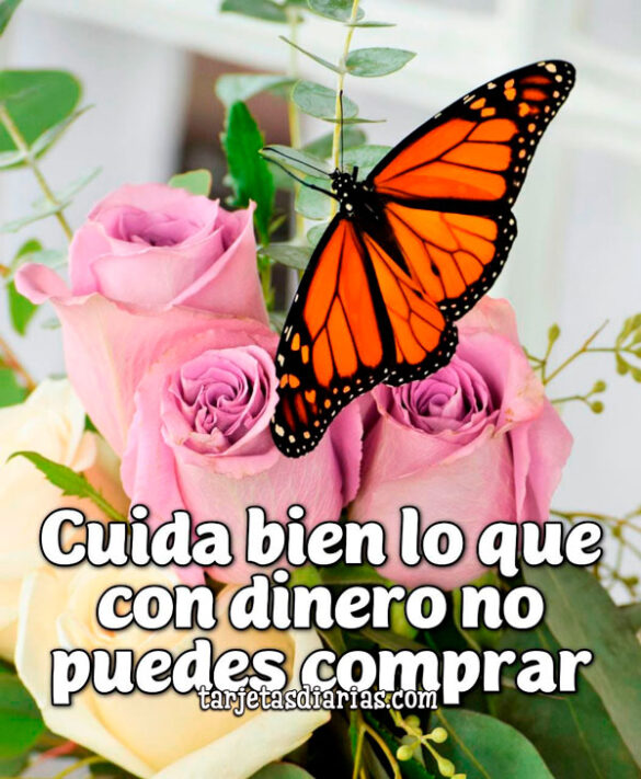 CUIDA BIEN LO QUE CON DINERO NO PUEDES COMPRAR