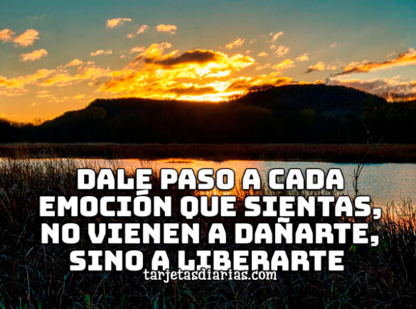 DALE PASO A CADA EMOCIÓN QUE SIENTAS, NO VIENEN A DAÑARTE, SINO A LIBERARTE