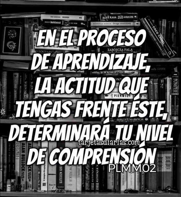 EN EL PROCESO DE APRENDIZAJE, LA ACTITUD QUE TENGAS FRENTE A ÉSTE, DETERMINARÁ TU NIVEL DE COMPRENSIÓN