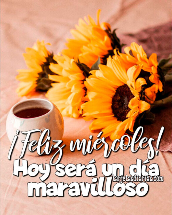 ¡FELIZ MIÉRCOLES! HOY SERÁ UN DÍA MARAVILLOSO