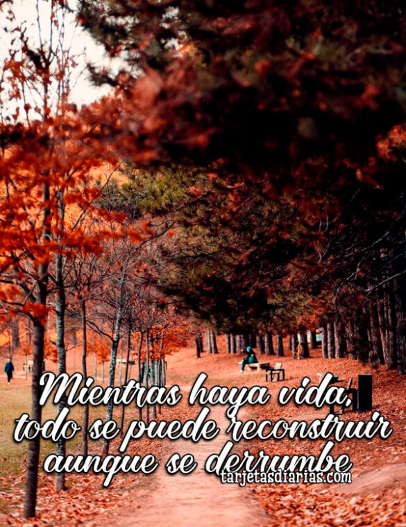 MIENTRAS HAYA VIDA, TODO SE PUEDE RECONSTRUIR, AUNQUE SE DERRUMBE