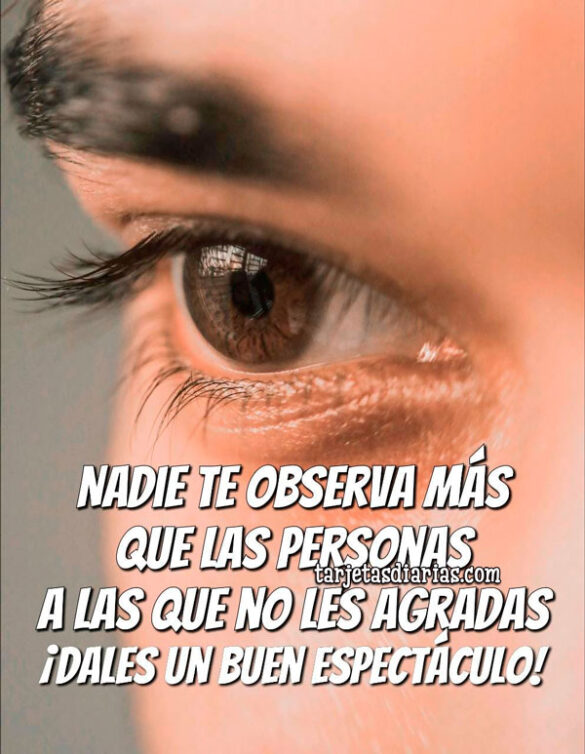 NADIE TE OBSERVA MÁS QUE LAS PERSONAS A LAS QUE NO LES AGRADAS