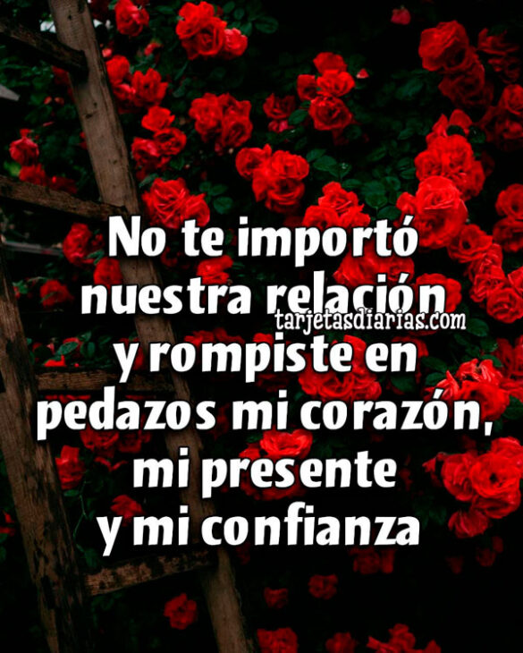 NO TE IMPORTÓ NUESTRA RELACIÓN Y ROMPISTE EN PEDAZOS MI CORAZÓN, MI PRESENTE Y MI CONFIANZA