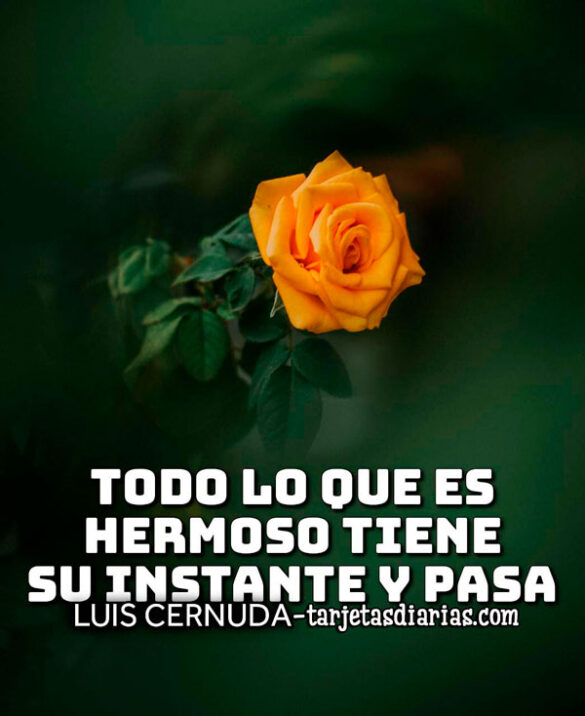 TODO LO QUE ES HERMOSO TIENE UN INSTANTE Y PASA