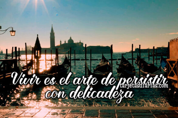 VIVIR ES EL ARTE DE PERSISTIR CON DELICADEZA