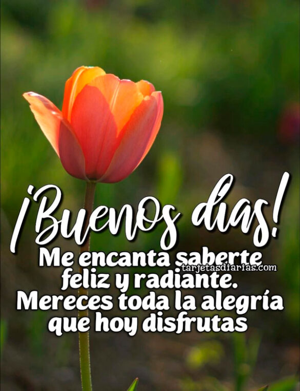¡BUENOS DÍAS! ME ENCANTA SABERTE FELIZ Y RADIANTE. MERECES TODA LA ALEGRÍA QUE HOY DISFRUTAS