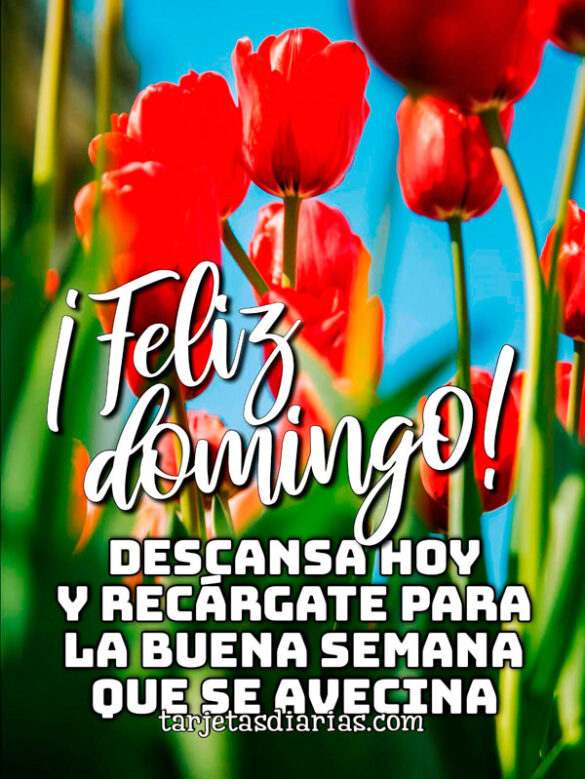 ¡FELIZ DOMINGO! DESCANSA HOY Y RECÁRGATE PARA LA BUENA SEMANA QUE SE AVECINA