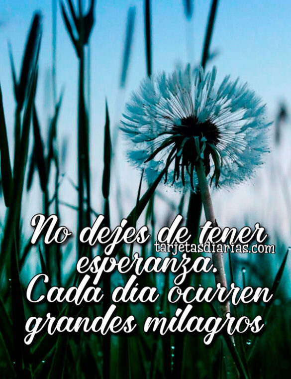 NO DEJES DE TENER ESPERANZA. CADA DÍA OCURREN GRANDES MILAGROS