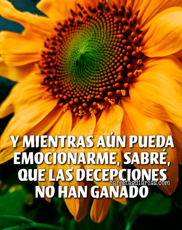 Y MIENTRAS AÚN PUEDA EMOCIONARME, SABRÉ, QUE LAS DECEPCIONES NO ME HAN GANADO