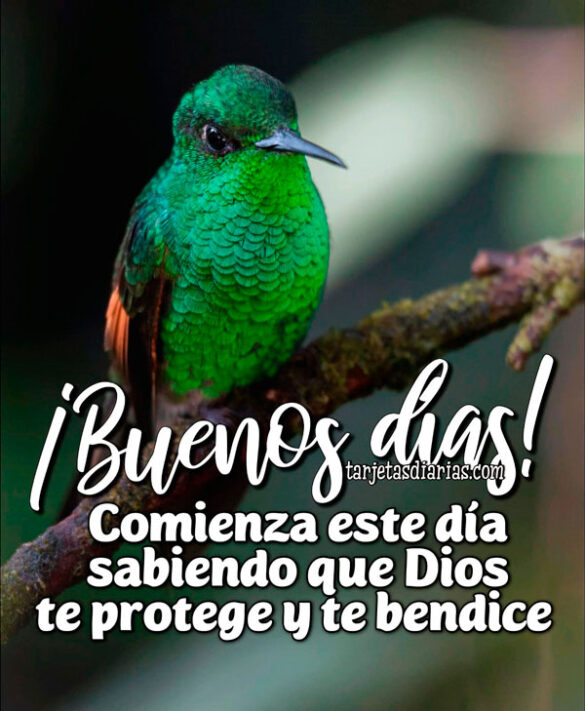 ¡BUENOS DÍAS! COMIENZA ESTE DÍA SABIENDO QUE DIOS TE PROTEGE Y TE BENDICE