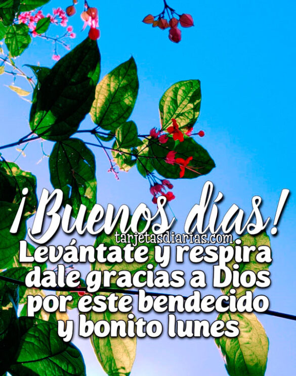 ¡BUENOS DÍAS! LEVÁNTATE Y RESPIRA, DALE GRACIAS A DIOS POR ESTE BENDECIDO Y BONITO LUNES