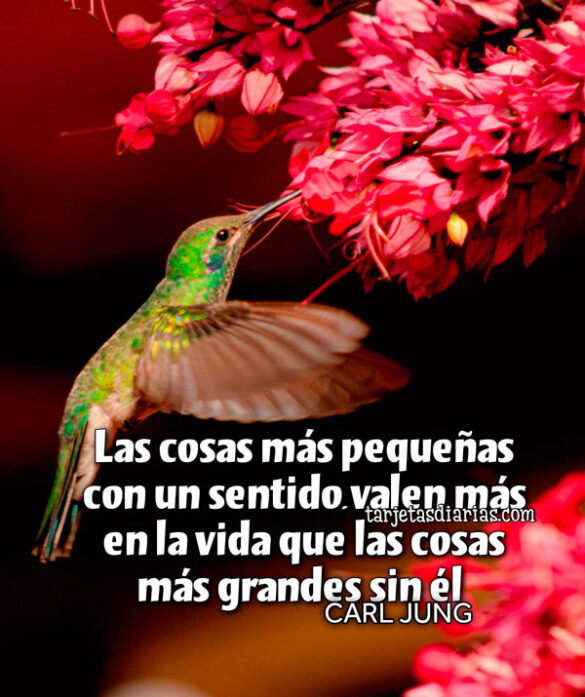 LAS COSAS MÁS PEQUEÑAS CON SENTIDO, VALEN MÁS EN LA VIDA QUE LAS COSAS MÁS GRANDES SIN ÉL