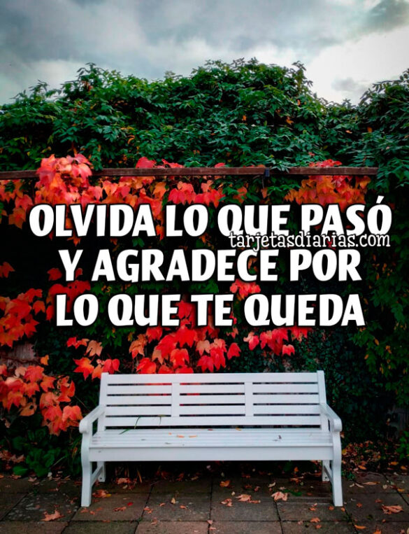 OLVIDA LO QUE PASÓ Y AGRADECE POR LO QUE TE QUEDA