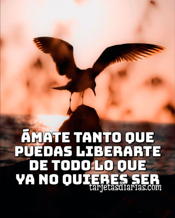 ÁMATE TANTO QUE PUEDAS LIBERARTE DE TODO LO QUE YA NO QUIERES SER