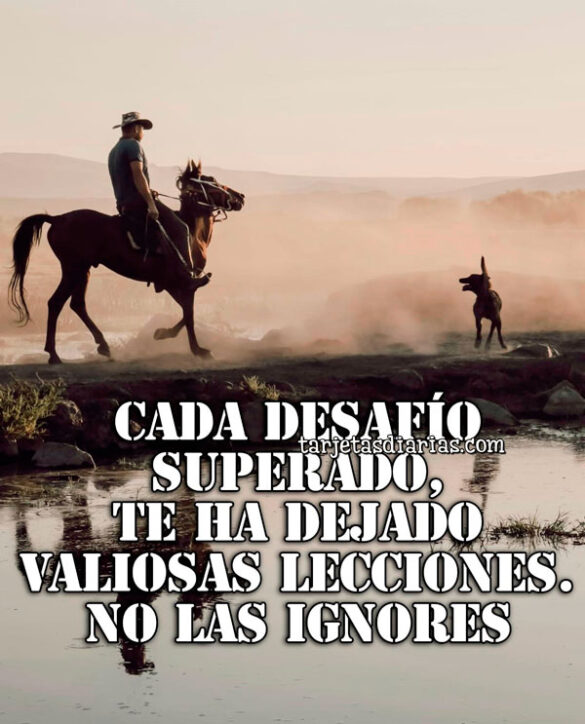 CADA DESAFÍO SUPERADO, TE HA DEJADO VALIOSAS LECCIONES. NO LAS IGNORES.