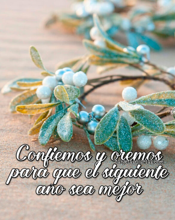 CONFIEMOS Y OREMOS PARA QUE EL SIGUIENTE AÑO SEA MEJOR