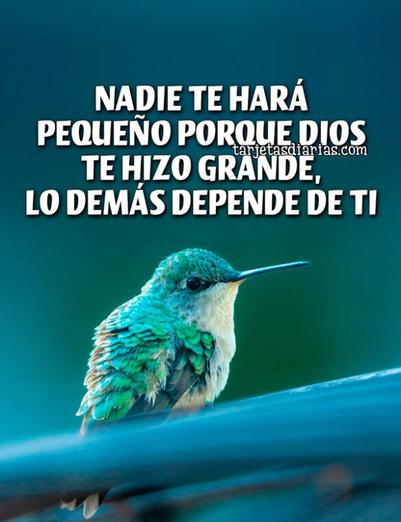 NADIE TE HARÁ PEQUEÑO PORQUE DIOS TE HIZO GRANDE, LO DEMÁS DEPENDE DE TI