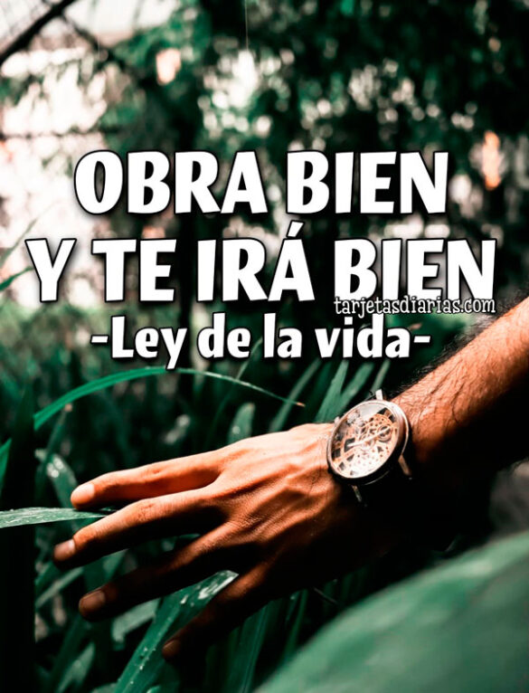 OBRA BIEN Y TE IRÁ BIEN, LEY DE LA VIDA