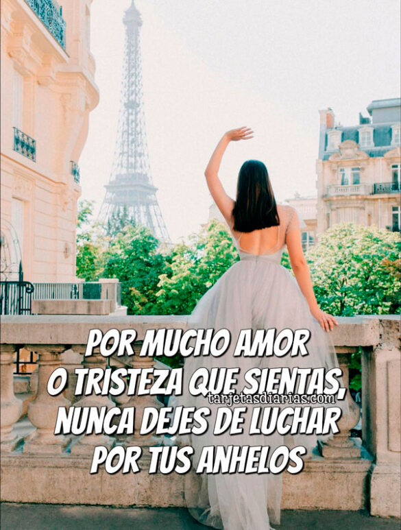 POR MUCHO AMOR O TRISTEZA QUE SIENTAS, NUNCA DEJES DE LUCHAR POR TUS ANHELOS