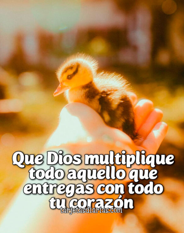 QUE DIOS MULTIPLIQUE TODO AQUELLO QUE ENTREGAS CON TODO TU CORAZÓN