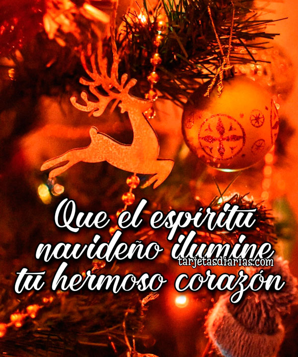 QUE EL ESPÍRITU NAVIDEÑO ILUMINE TU HERMOSO CORAZÓN - Tarjetas Diarias