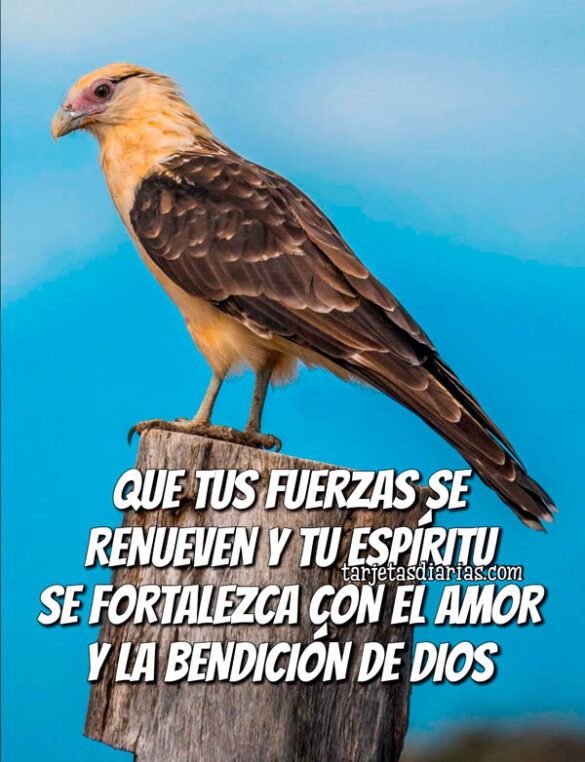QUE TUS FUERZAS SE RENUEVEN Y TU ESPÍRITU SE FORTALEZCA CON EL AMOR Y LA BENDICIÓN DE DIOS
