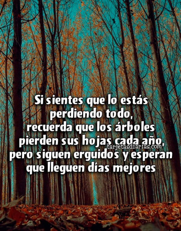 SI SIENTES QUE LO ESTÁS PERDIENDO TODO, RECUERDA QUE LOS ÁRBOLES PIERDEN SUS HOJAS CADA AÑO, PERO SIGUEN ERGIDOS Y ESPERAN QUE LLEGUEN DÍAS MEJORES
