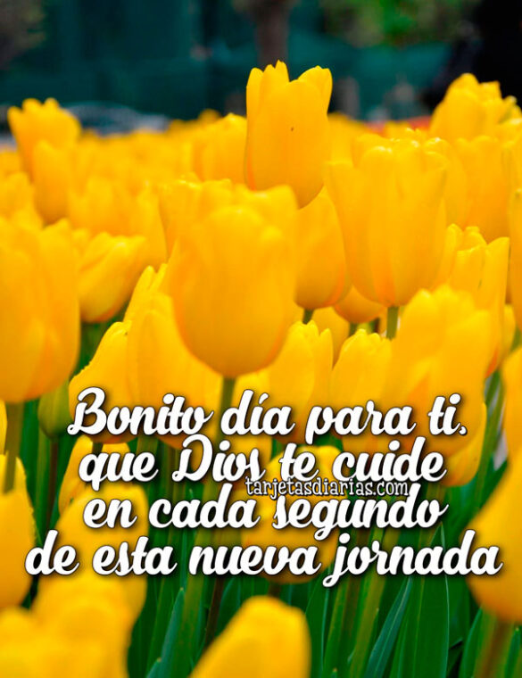 BONITO DÍA PARA TI, QUE DIOS TE CUIDE EN CADA SEGUNDO DE ESTA NUEVA JORNADA