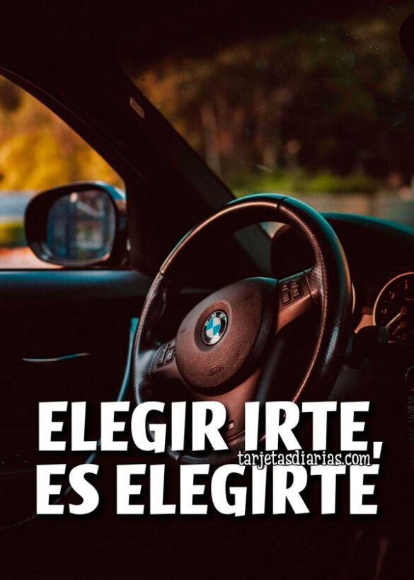 ELEGIR IRTE, ES ELEGIRTE