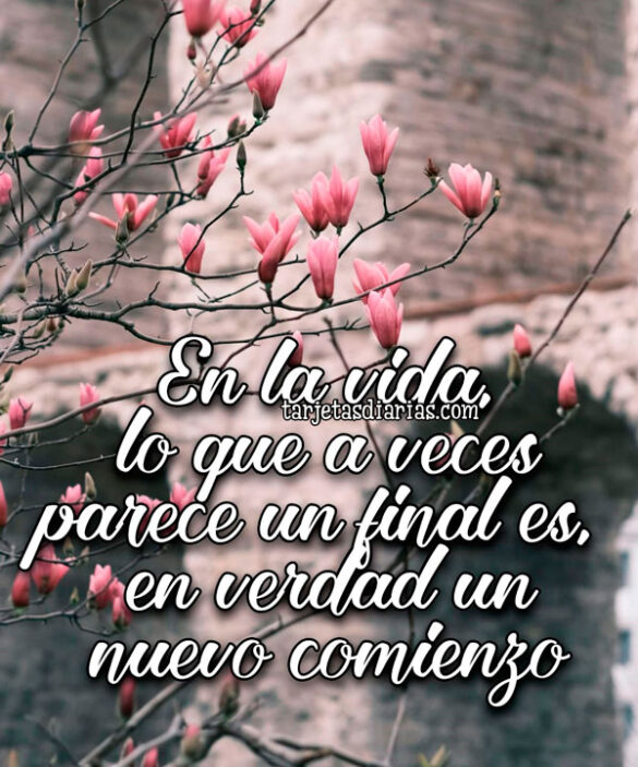 EN LA VIDA, LO QUE A VECES PARECE UN FINAL ES, EN VERDAD UN NUEVO COMIENZO