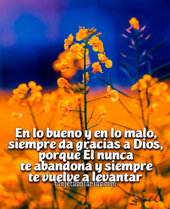 EN LO BUENO Y EN LO MALO, SIEMPRE DA GRACIAS A DIOS, PORQUE ÉL NUNCA TE ABANDONA