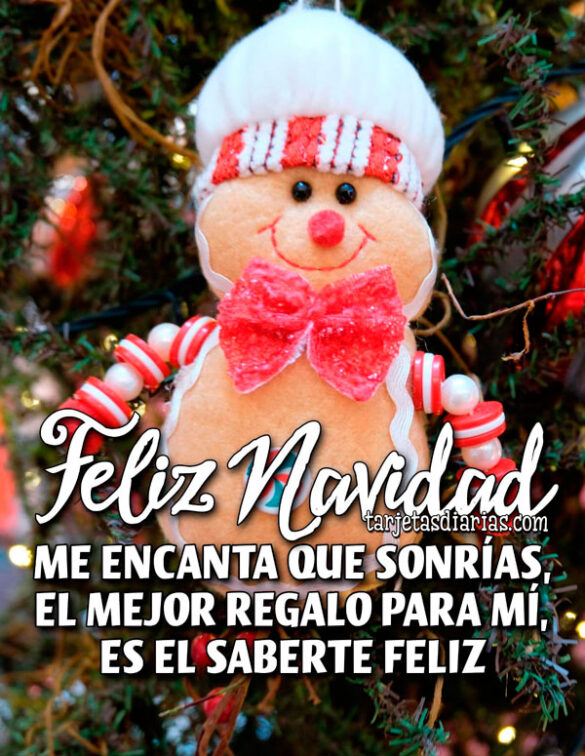 FELIZ NAVIDAD. ME ENCANTA QUE SONRÍAS, EL MEJOR REGALO PARA MÍ, ES EL SABERTE FELIZ