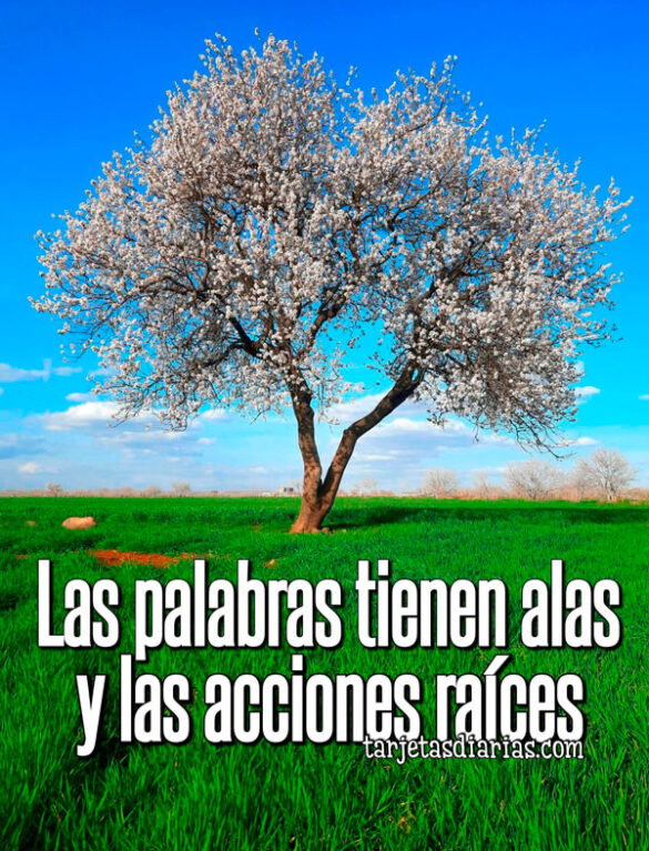 LAS PALABRAS TIENEN ALAS Y LAS ACCIONES RAÍCES