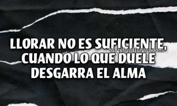 LLORAR NO ES SUFICIENTE, CUANDO LO QUE DUELE DESGARRA EL ALMA
