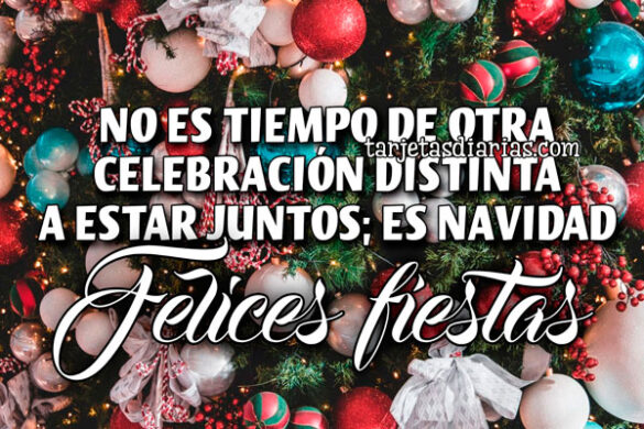 NO ES TIEMPO DE OTRA CELEBRACIÓN DISTINTA A ESTAR JUNTOS; ES NAVIDAD. FELICES FIESTAS