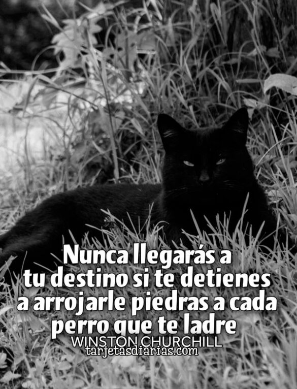NUNCA LLEGARÁS A TU DESTINO SI TE DETIENES A ARROJARLE PIEDRAS A CADA PERRO QUE TE LADRE