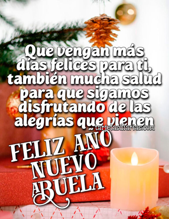 QUE VENGAN MÁS DÍAS FELICES PARA TI, TAMBIÉN MUCHA SALUD PARA QUE SIGAMOS DISFRUTANDO. FELIZ AÑO NUEVO ABUELA