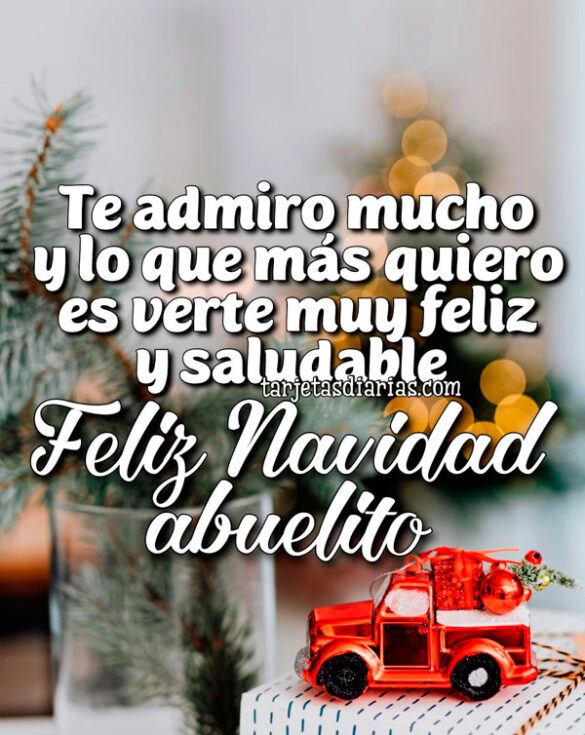 TE ADMIRO MUCHO Y LO QUE MÁS QUIERO ES VERTE MUY FELIZ Y SALUDABLE. FELIZ NAVIDAD ABUELITO