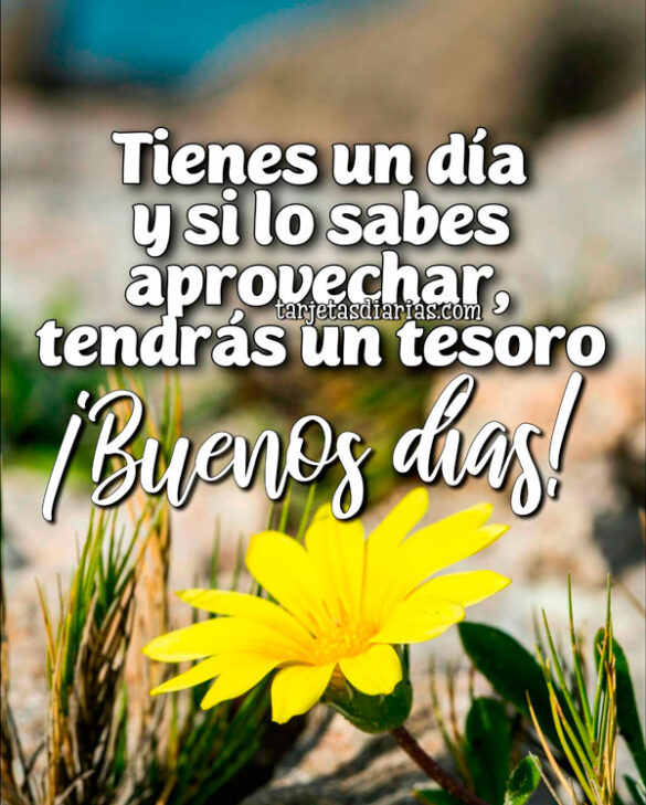 TIENES UN DÍA Y SI LO SABES APROVECHAR, TENDRÁS UN TESORO. ¡BUENOS DÍAS!