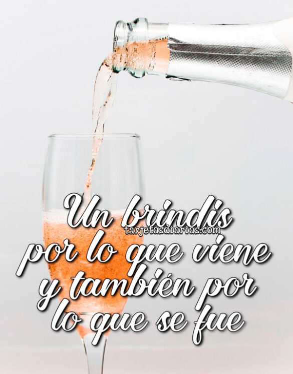 UN BRINDIS POR LO QUE VIENE Y TAMBIÉN POR LO QUE SE FUE