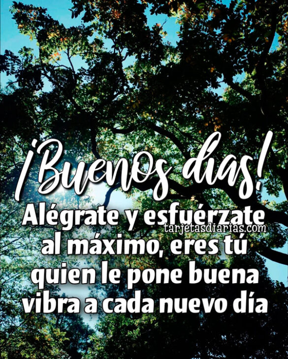 ¡BUENOS DÍAS! ALÉGRATE Y ESFUÉRZATE AL MÁXIMO, ERES TÚ QUIEN LE PONE BUENA VIBRA A CADA NUEVO DÍA