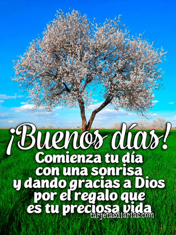 ¡BUENOS DÍAS! COMIENZA TU DÍA CON UNA SONRISA Y DANDO GRACIAS A DIOS POR EL REGALO QUE ES TU PRECIOSA VIDA