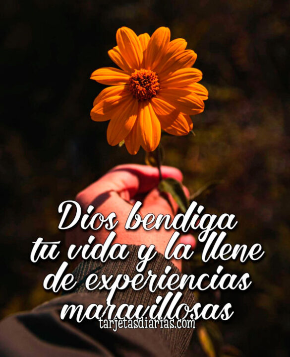 DIOS BENDIGA TU VIDA Y LA LLENE DE EXPERIENCIAS MARAVILLOSAS