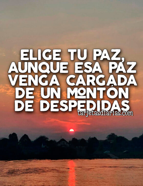 ELIGE TU PAZ, AUNQUE ESA PAZ VENGA CARGADA DE UN MONTÓN DE DESPEDIDAS